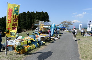 DSC_2930.JPG