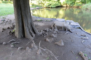 DSC_2997.JPG