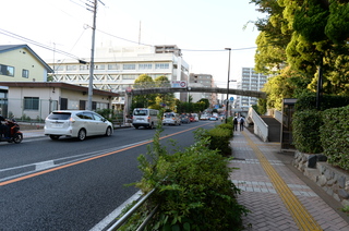 DSC_3028.JPG