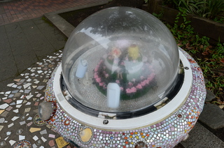 DSC_3060.JPG