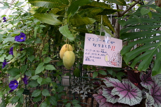 DSC_3071.JPG