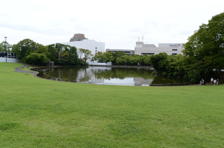 DSC_3105.JPG