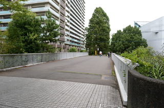 DSC_3112.JPG