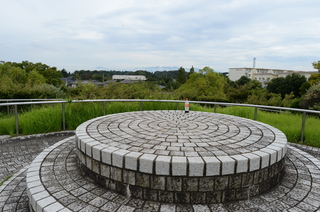 DSC_3141.JPG