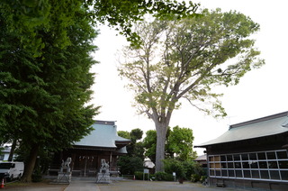 DSC_3151.JPG