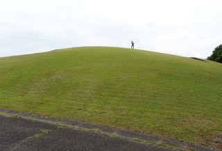 DSC_3159.JPG