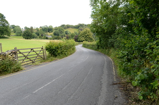 DSC_3228.JPG