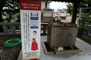 DSC_3287.JPG