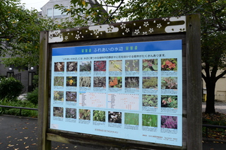 DSC_3318.JPG