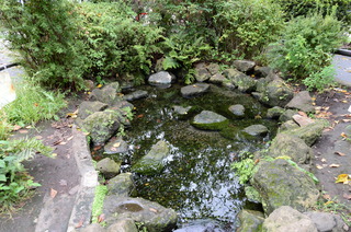 DSC_3319.JPG