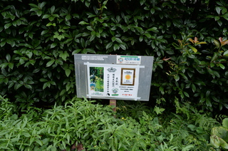DSC_3324.JPG