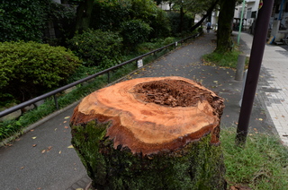 DSC_3326.JPG