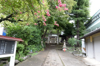DSC_3399.JPG