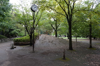 DSC_3408.JPG