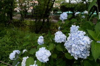DSC_3506.JPG