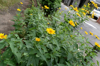 DSC_3508.JPG