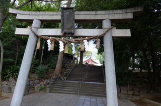 DSC_3583.JPG