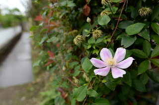 DSC_3595.JPG