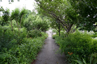 DSC_3635.JPG