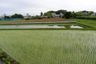 DSC_3650.JPG