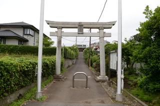DSC_3709.JPG