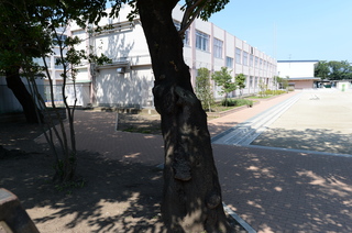 DSC_3782.JPG