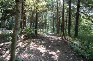 DSC_3801.JPG