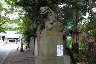 DSC_3850.JPG