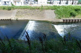 DSC_3862.JPG