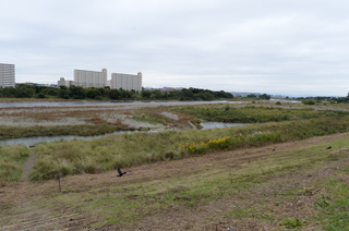 DSC_3877.JPG