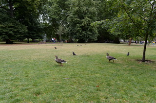 DSC_3883.JPG