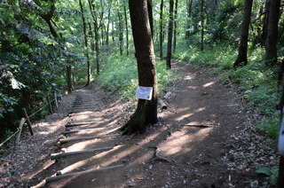 DSC_3917.JPG