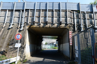 DSC_3929.JPG
