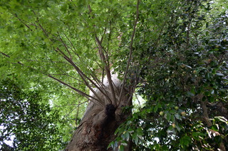 DSC_3942.JPG