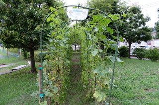 DSC_4032.JPG