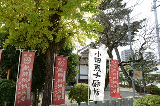 DSC_4050.JPG
