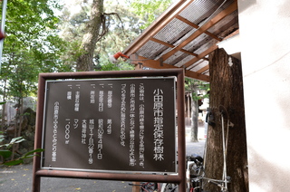 DSC_4057.JPG