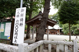 DSC_4098.JPG