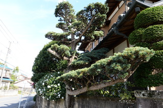 DSC_4114.JPG