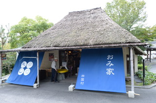 DSC_4303.JPG