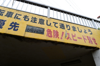 DSC_4313.JPG