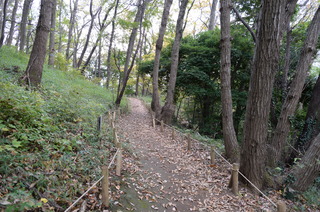 DSC_4330.JPG