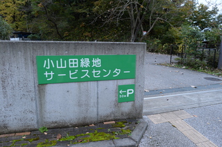 DSC_4352.JPG