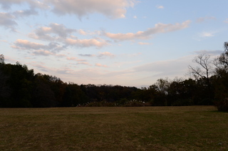 DSC_4362.JPG