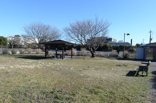 DSC_4481.JPG