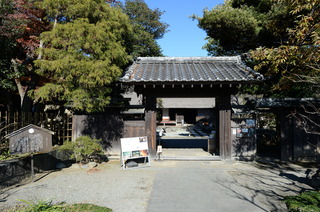 DSC_4501.JPG