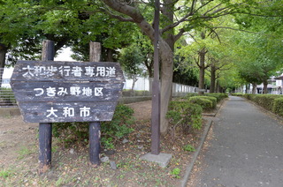DSC_4577.JPG