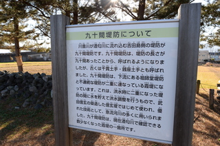 DSC_4607.JPG