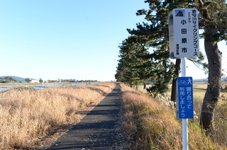 DSC_4652.JPG