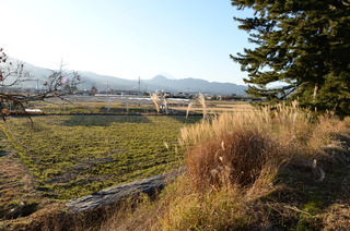 DSC_4660.JPG